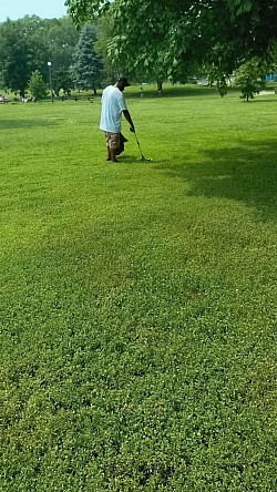 Park clean-up