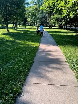 Park clean up