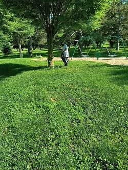 Park clean -up